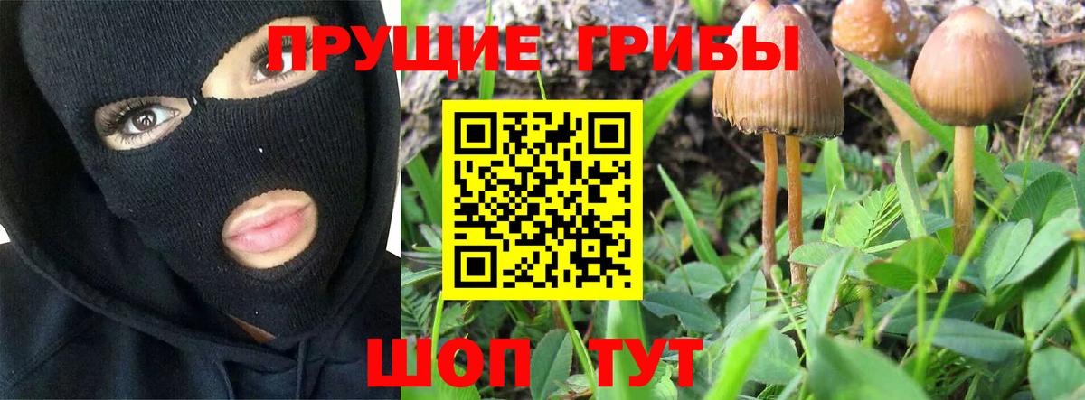 Псилоцибиновые грибы Cubensis  Вход с VPN  Сокол  Галлюциногенные грибы GOLDEN TEACHER 