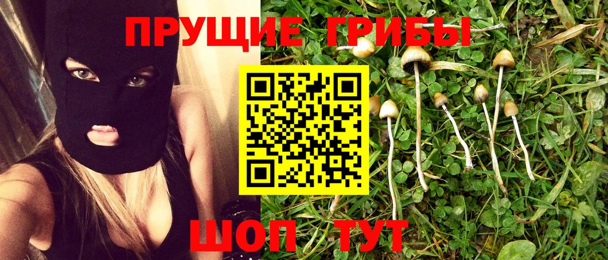 Галлюциногенные грибы Psilocybine cubensis Сокол